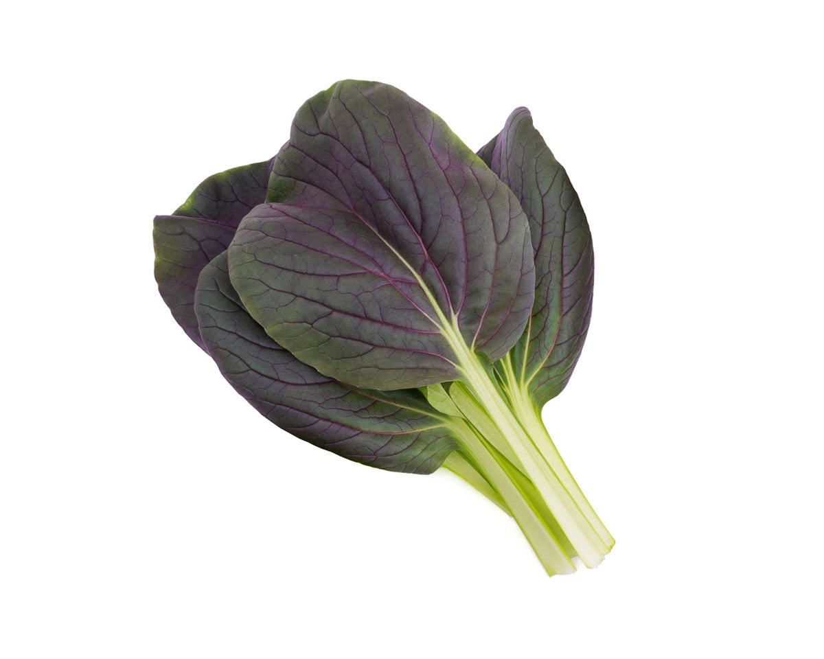 Paquete de 9 vainas de Pak Choi rojo / Paquete de 9 vainas de Pak Choi rojo