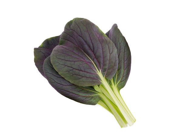 Paquete de 9 vainas de Pak Choi rojo