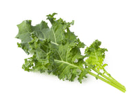 Paquete de 30 coles verdes / Green Kale 30-pack