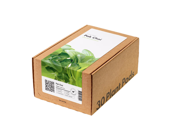 Paquete de 30 Pak Choi