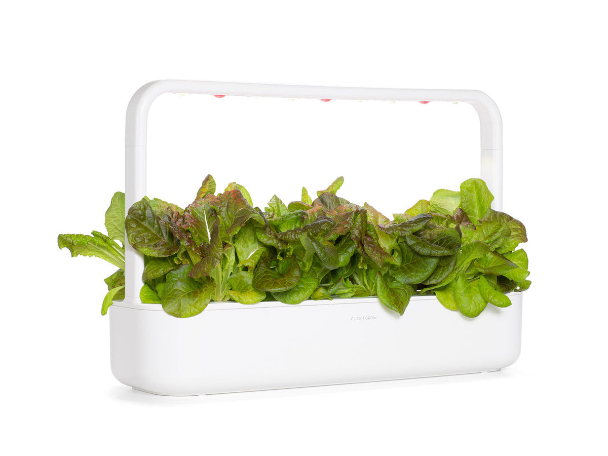 Lechuga roja en vainas de 9 unidades / Red Lettuce Plant Pods 9-pack