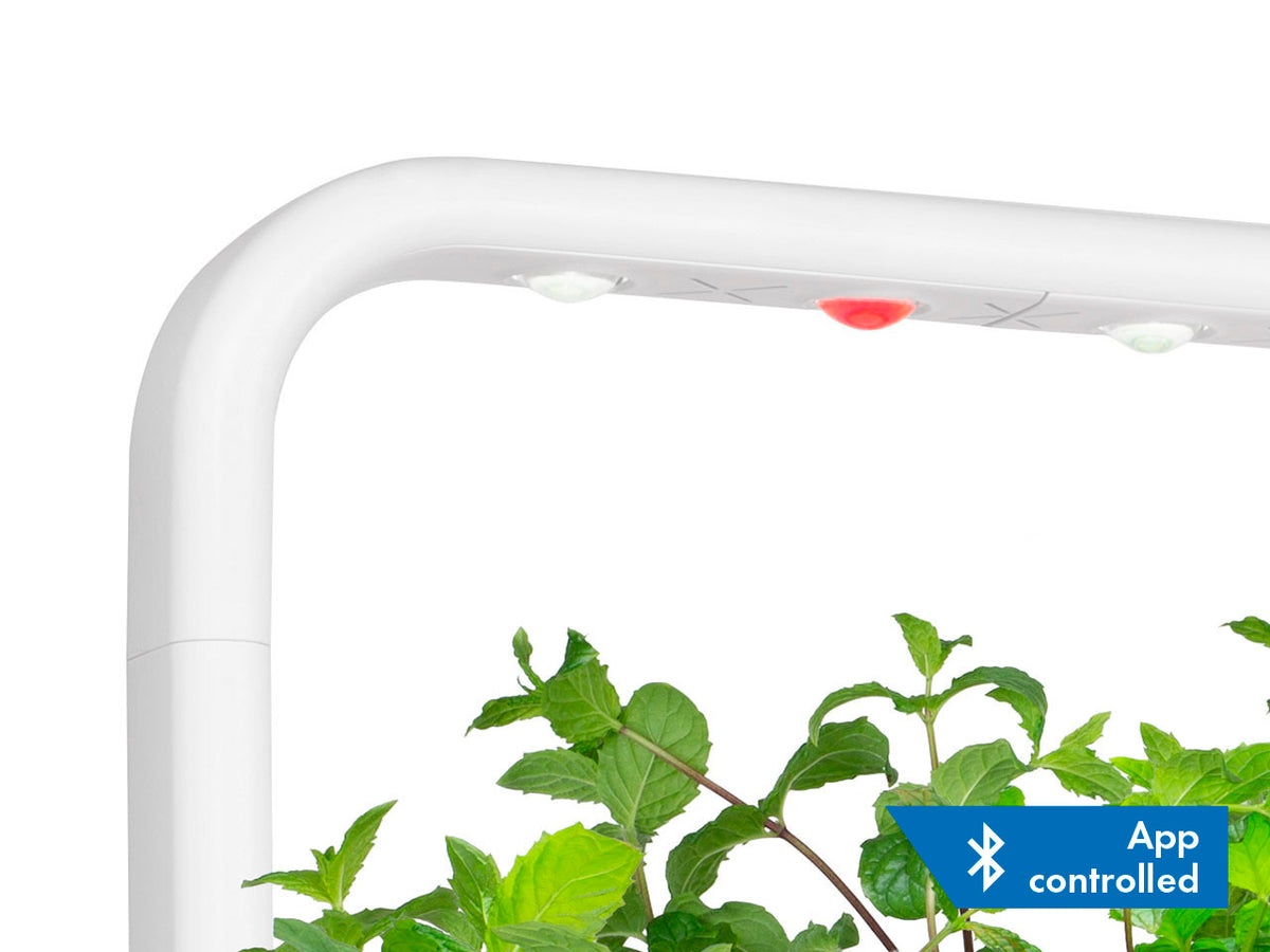 Lámpara Smart Garden 9 con Bluetooth / Lámpara Smart Garden 9 con Bluetooth