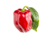 Red Sweet Pepper Plant Pods 9-pack / Planta de Pimiento Dulce Rojo Vainas 9-pack