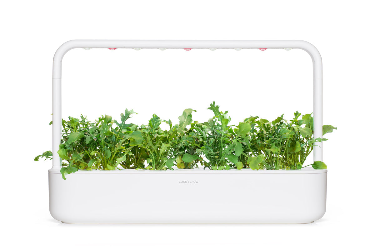 Arugula Plant Pods 9-pack / Rúcula Planta Vainas 9-pack