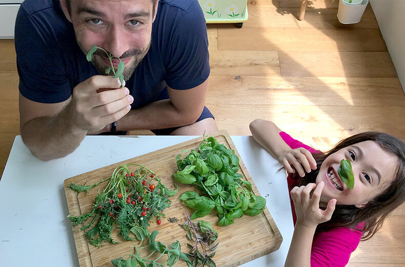 Papá y su hijo con albahaca fresca