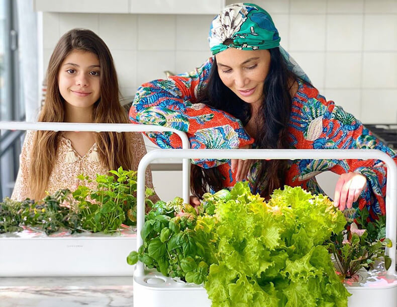 Cultivadores cosechando las plantas