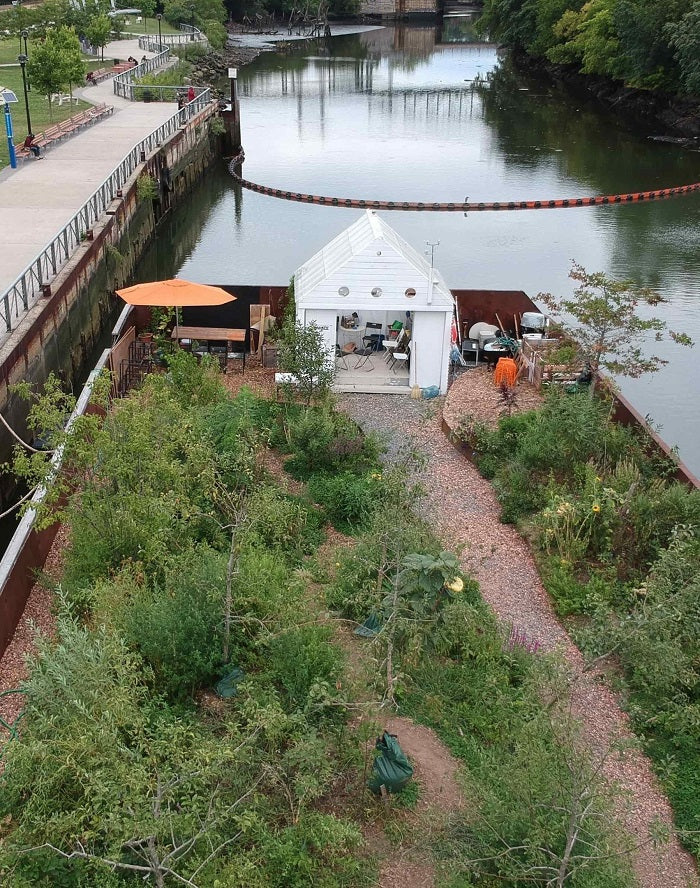 Here's What an Organic, Floating Forest Looks Like