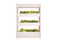 The Wall Farm Indoor Vertical Garden / The Wall Farm Indoor Vertical Garden