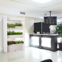 The Wall Farm Indoor Vertical Garden / Wall Farm is an indoor vertical garden that grows fresh plants all year round.