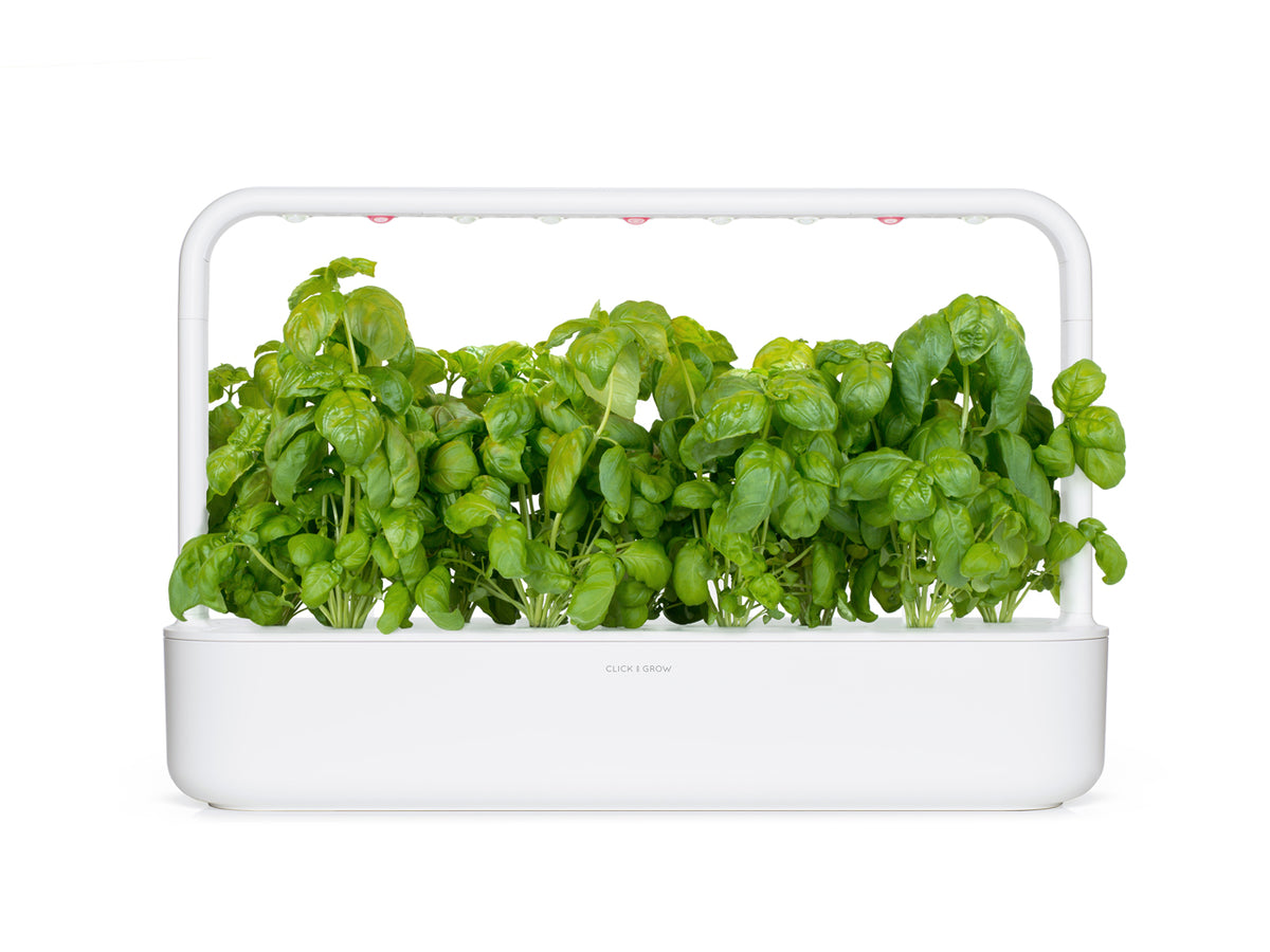 Basil Plant Pods | Click & Grow