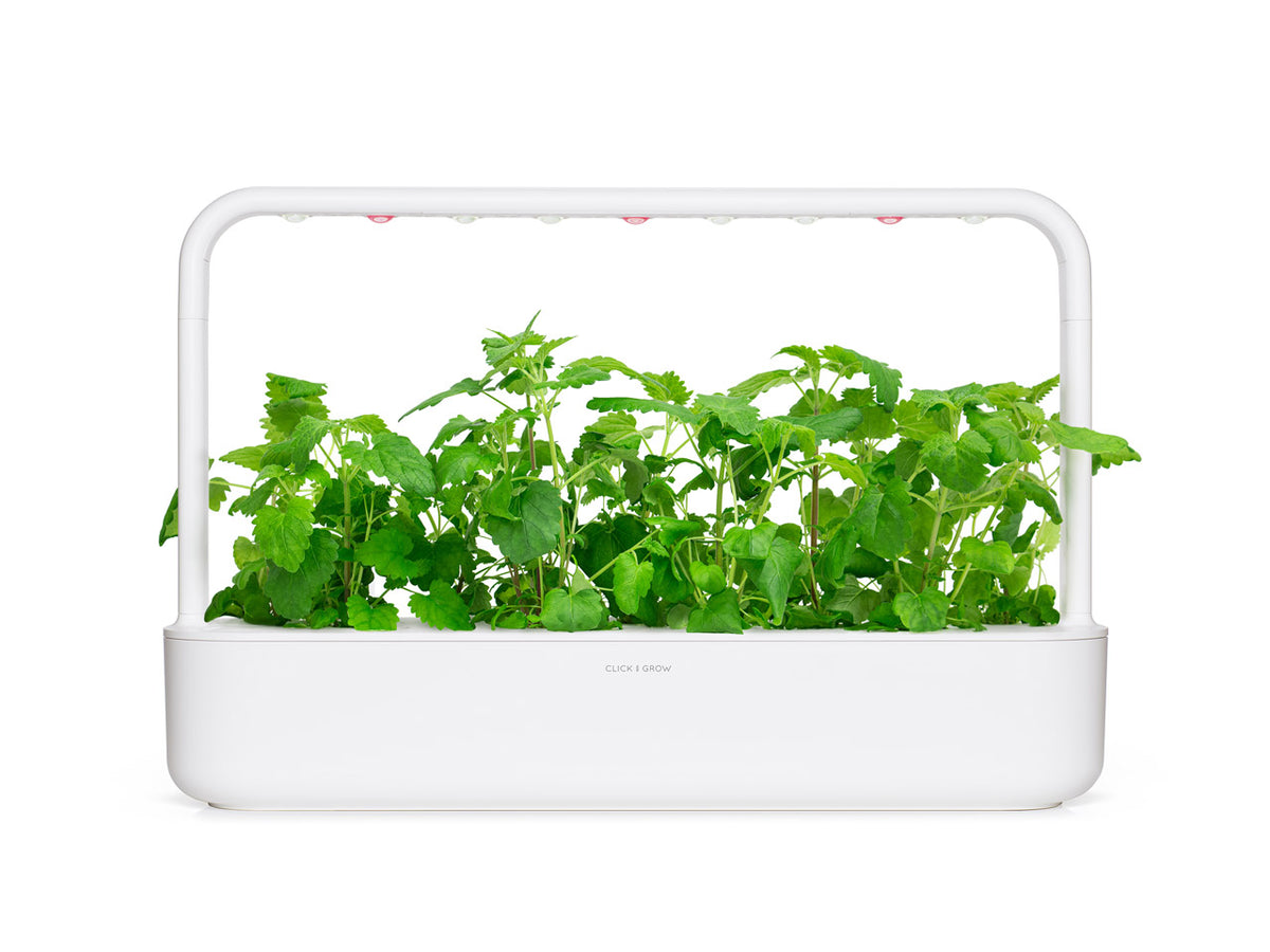 Catnip Plant Pods | Click & Grow