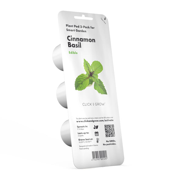 Cinnamon Basil Plant Pods Click Grow