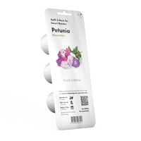 Petunia Plant Pods / Petunia Plant Pods