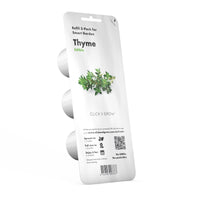 Thyme Plant Pods / Thyme Plant Pods