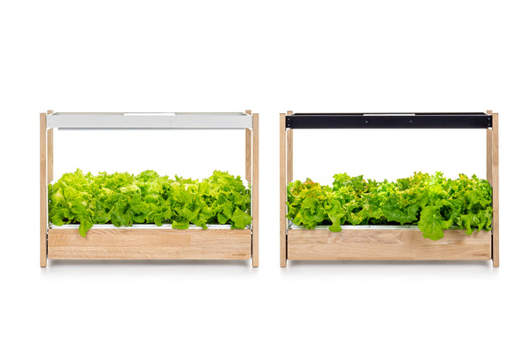 The Click & Grow 25 - Indoor garden for healthy, fresh home-grown leafy  greens – Click & Grow Canada