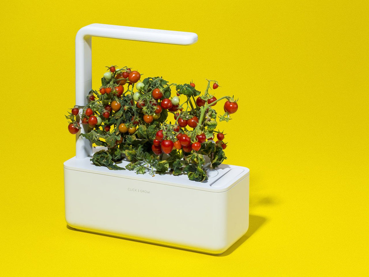 The Smart Garden 3 / Easy to use indoor garden. Grow fresh herbs with the Click & Grow plant growing kit called the smart indoor garden. It's the best indoor garden available!