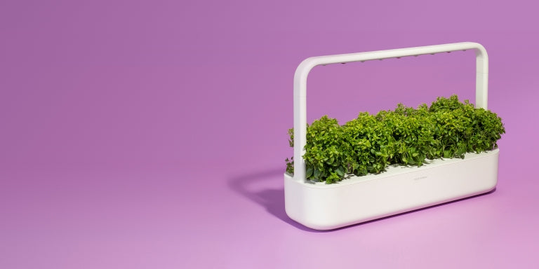 Click & Grow Smart Garden 9